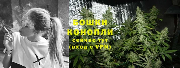 индика Красноперекопск