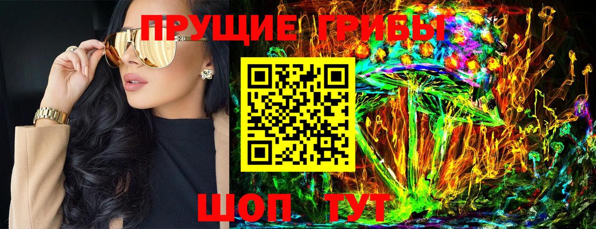 Псилоцибиновые грибы Psilocybine cubensis Видное