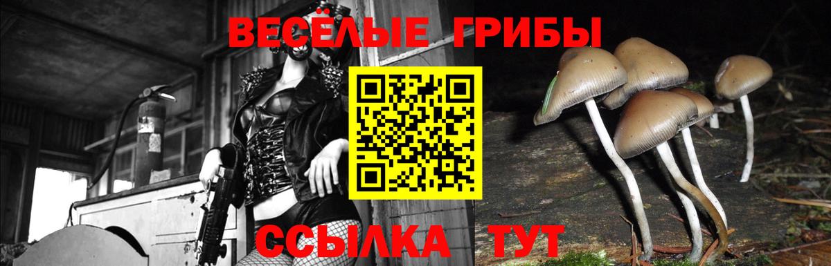 Псилоцибиновые грибы прущие грибы  Псилоцибиновые грибы прущие грибы  Вход с VPN  Видное 